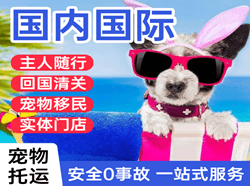 王村航空邮寄国际宠物托运 【国